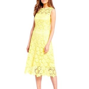 Alex Marie Milli Floral Lace A-Line Midi Dress